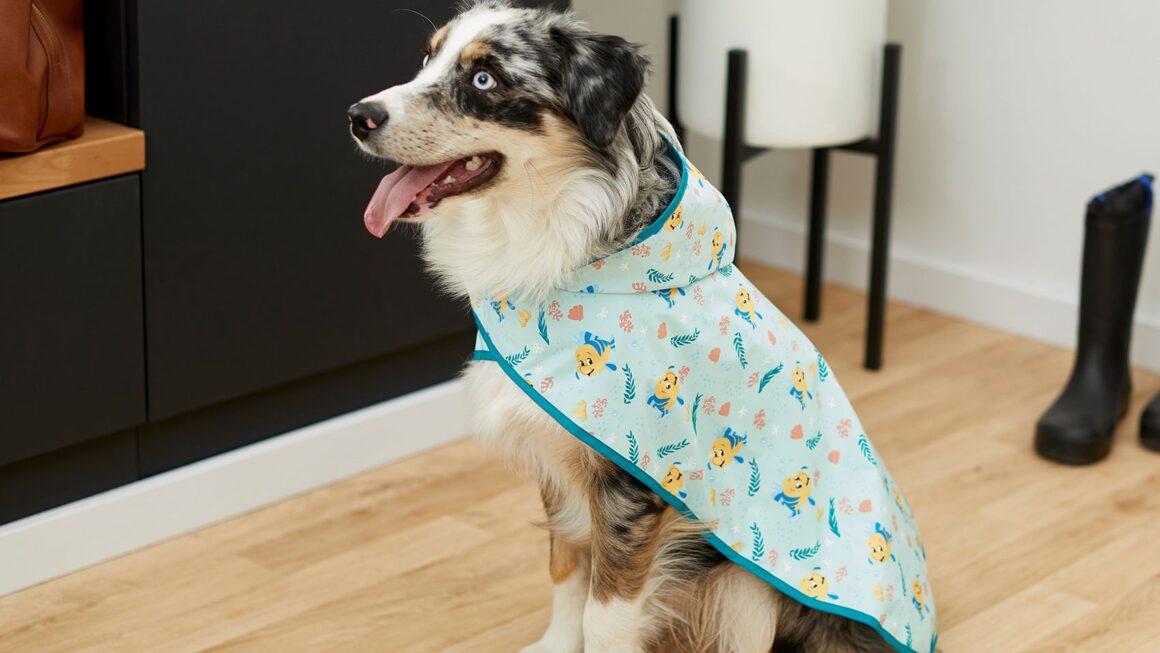 Dog Rain Coats: Keeping Your Furry Friend Dry And Comfortable In The Rain