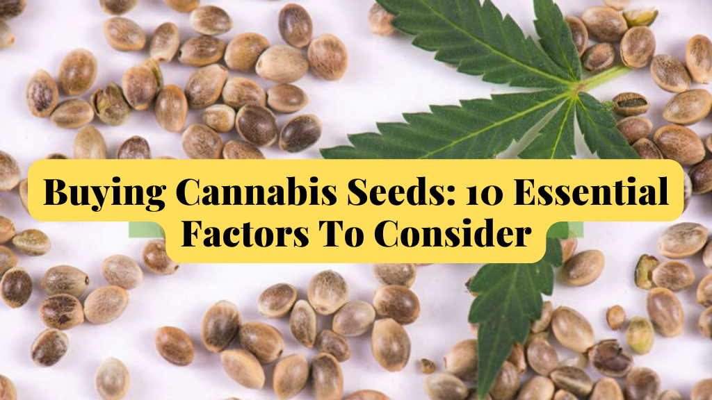 Buying Cannabis Seeds: 10 Essential Factors To Consider