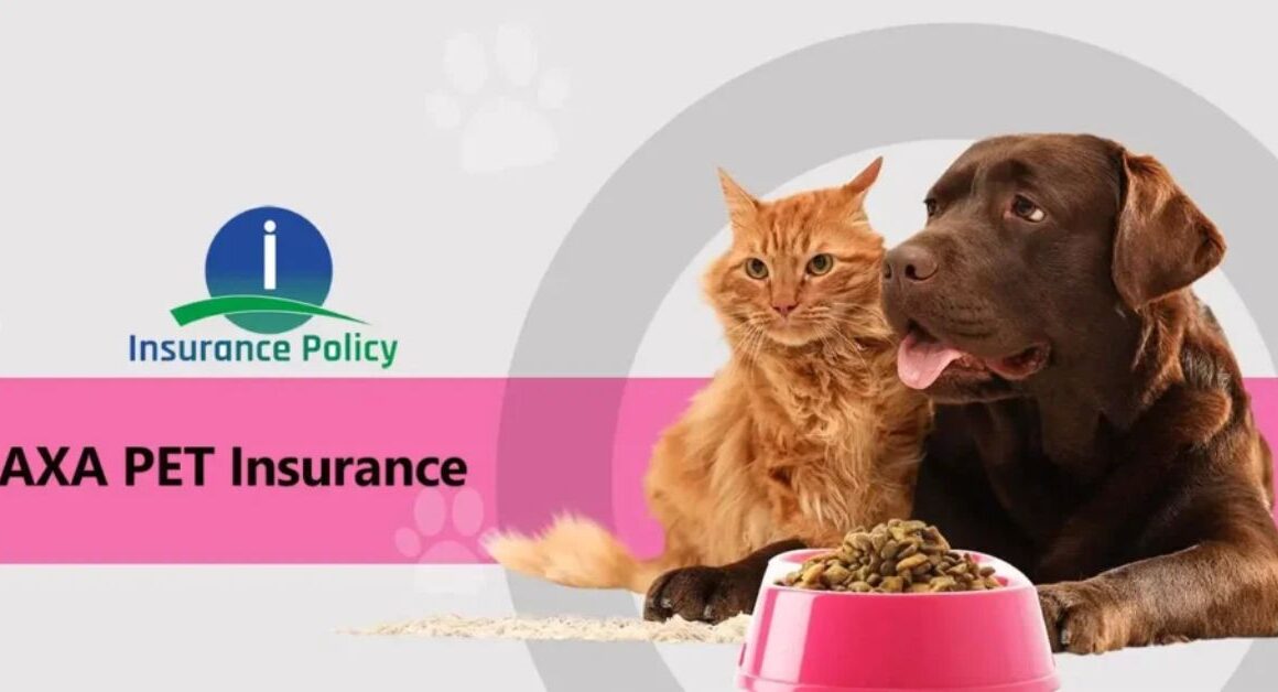 Advantages of Axa Pet Insurance