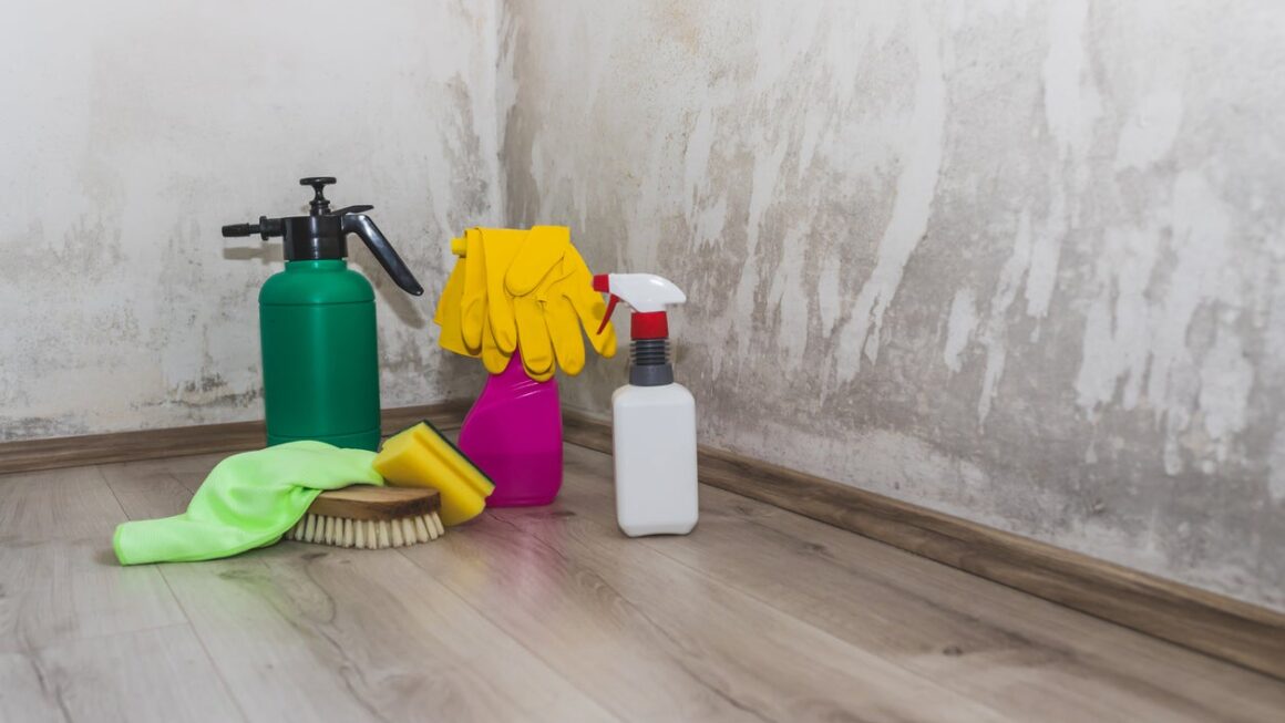 Tips For Keeping Your Home Mold-Free