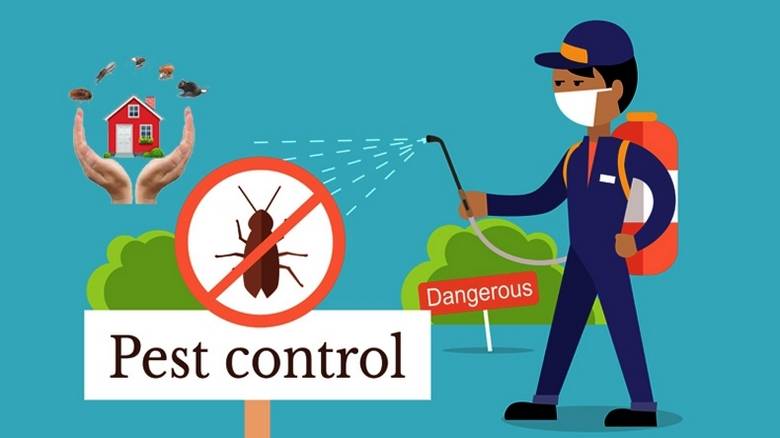 Pest Control Perth: Keeping Your Home and Business Safe and Clean