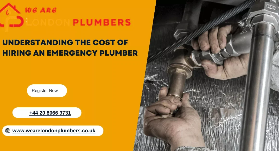 The Importance of Plumbing Services: Why You Shouldn’t Underestimate the Value of a Professional Plumber