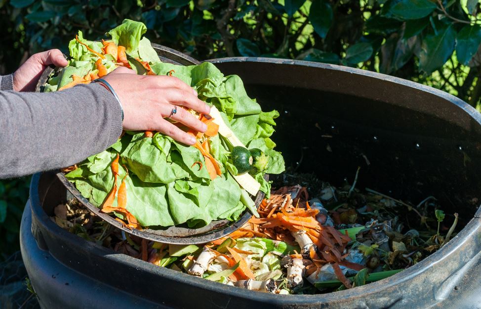 The Environmental, Economic, and Social Impacts of Food Waste