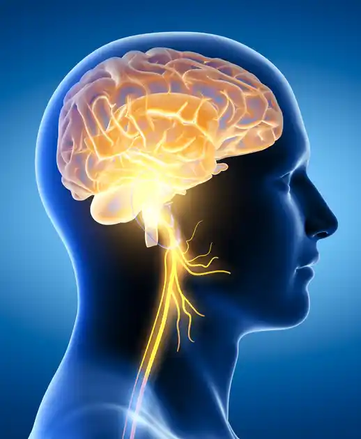 Understanding Brain Strokes: Causes, Symptoms, and Treatment Options