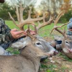 Experience the Ultimate Whitetail Hunting Adventure in Bernstadt with Buck Creek Trophy Whitetails