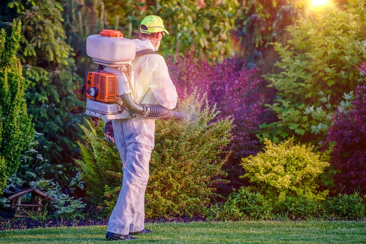 Protect Your Home: Pest Control for bedbug Tampa