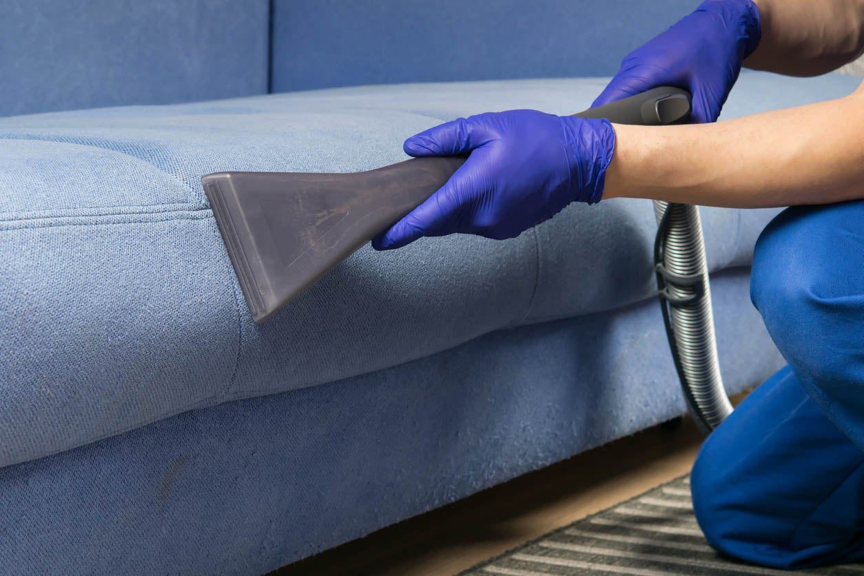 The Science Behind Ingleburn Trusted Sofa Cleaning Services