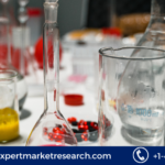 Laboratory Glassware Market Size
