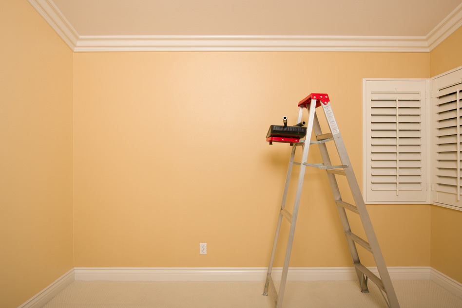 Transform Your Space with Expert Painters in Sydney and Bondi