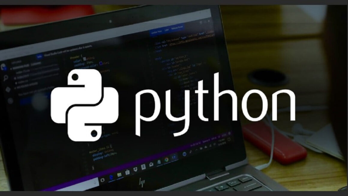Gain a Competitive Edge with Python Development Services in 2024